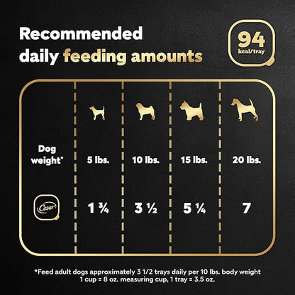 CESAR Adult Wet Dog Food Filets in Gravy Prime Rib Flavor, 3.5 oz. Easy Peel Trays, Pack of 24 - PAWPICO