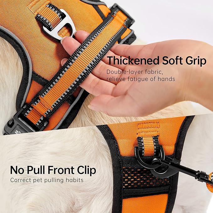 NESTROAD No Pull Dog Harness,Adjustable Oxford Dog Vest Harness with Leash,Reflective No-Choke Pet Harness with Easy Control Soft Handle for Small Dogs(Small,Orange) NESTROAD