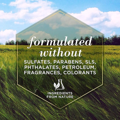 Burt's Bees for Pets Cat Naturally Derived Dander Reducing Spray with Soothing Colloidal Oat Flour & Honey - Cruelty Free, Made in USA, 10 oz Bottle - PAWPICO