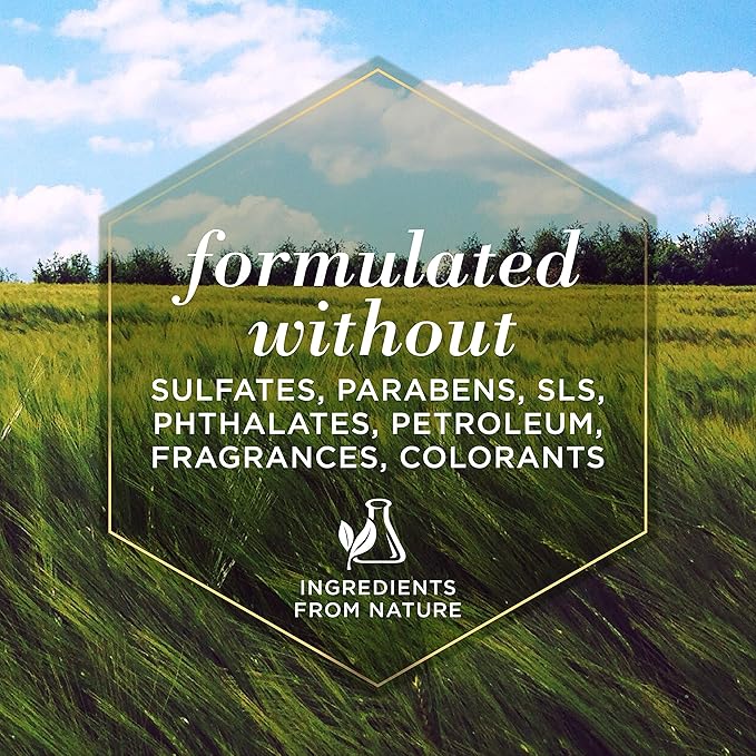 Burt's Bees for Pets Cat Naturally Derived Dander Reducing Spray with Soothing Colloidal Oat Flour & Honey - Cruelty Free, Made in USA, 10 oz Bottle - 2 Pack - PAWPICO