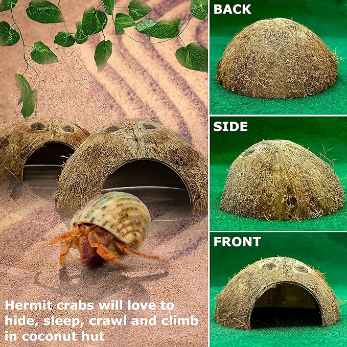 Hamiledyi Reptile Hideouts Natural Coconut Shells Hut Hermit Crab Climbing Toys Gecko Hide Cave Lizard Habitat Decor Plant Leaves Decoration for Spider Snake Chameleon (4Pcs) Hamiledyi