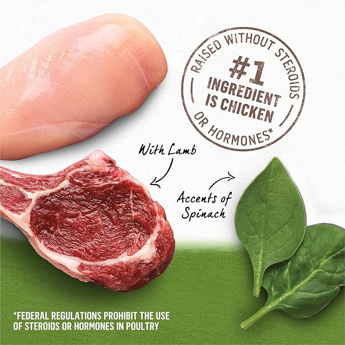 Purina Beyond Grain Free, Natural Pate Wet Dog Food, Grain Free Chicken, Lamb & Spinach Recipe - (12) 13 oz. Cans - PAWPICO