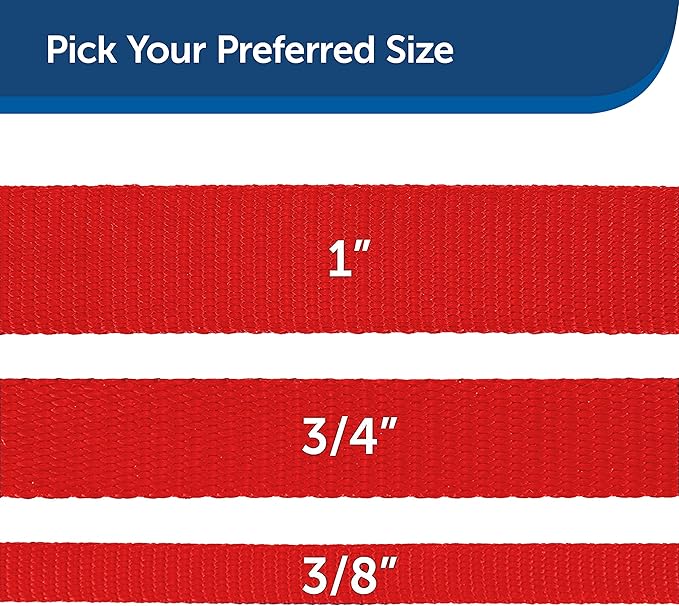 PetSafe Nylon Dog Leash – Strong, Durable, Traditional Style Leash with Easy to Use Bolt Snap – 1" x 4', Red - PAWPICO