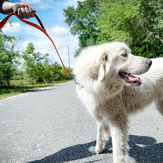 Joytale Dog Leash Heavy Duty for Large Dogs That Pull, Double Handle for Traffic Control, Double-Sided Reflective Leashes for Large Medium Dogs Night Safety, 4FT, Orange Joytale