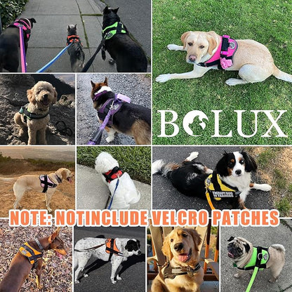 Bolux Dog Harness, No-Pull Reflective Dog Vest, Breathable Adjustable Pet Harness with Handle for Outdoor Walking - No More Pulling, Tugging or Choking (X-Large (Pack of 1), YellowOrange) Bolux