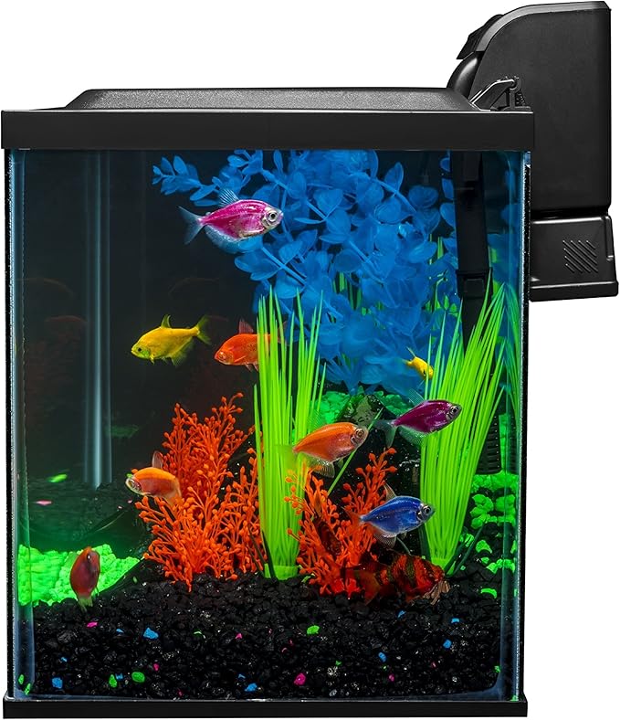 Glofish 10 Gallon Aquarium Fish Tank Kits, Includes LED Lighting and Décor (Amazon Exclusive) GloFish