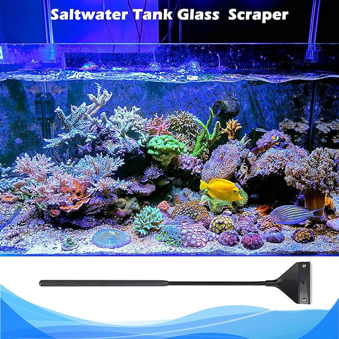 Algae Scraper for Glass Aquariums, Fish Tank Cleaner, Aquarium Algae Scrapers with 10 Stainless Steel Blades. Pronetcus