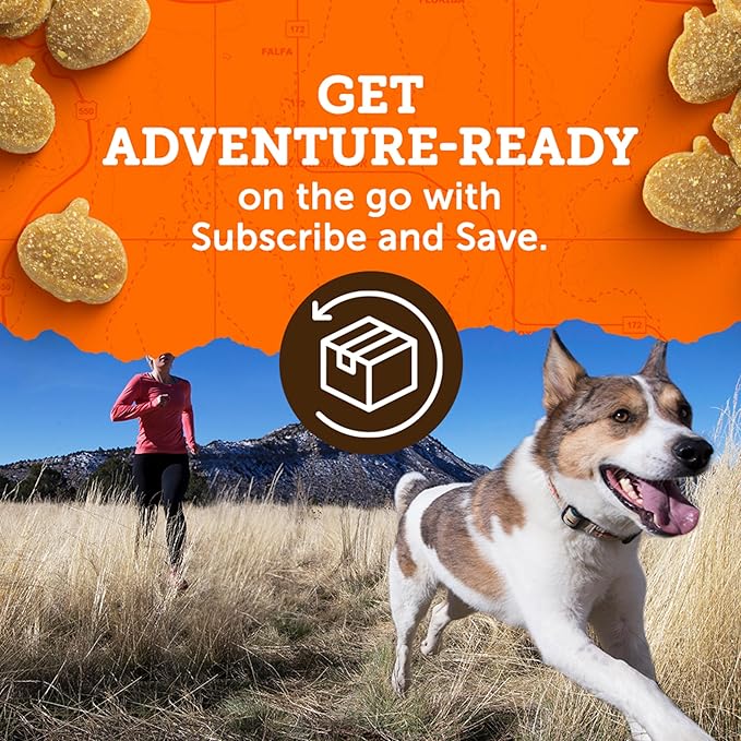 Zuke's Mini Naturals Training Dog Treats Peanut Butter and Oats Recipe - 16 Oz Bag - PAWPICO