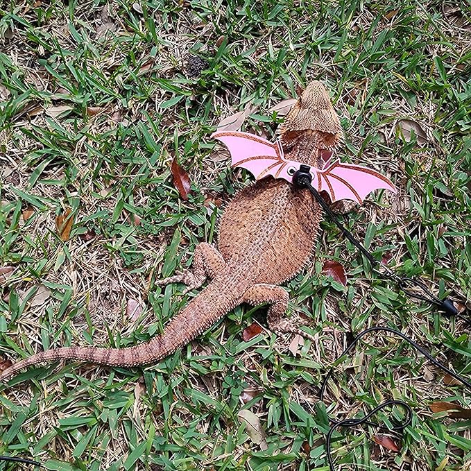 ADOGGYGO Bearded Dragon Leash Harness, 3 Size Pack Pink Leather Wing Lizard Harness with Removable Lizard Leash for Bearded Dragon Lizard Reptiles (Pink) ADOGGYGO