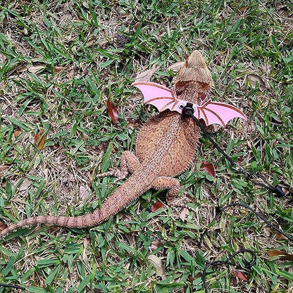 ADOGGYGO Bearded Dragon Leash Harness, 3 Size Pack Pink Leather Wing Lizard Harness with Removable Lizard Leash for Bearded Dragon Lizard Reptiles (Pink) ADOGGYGO