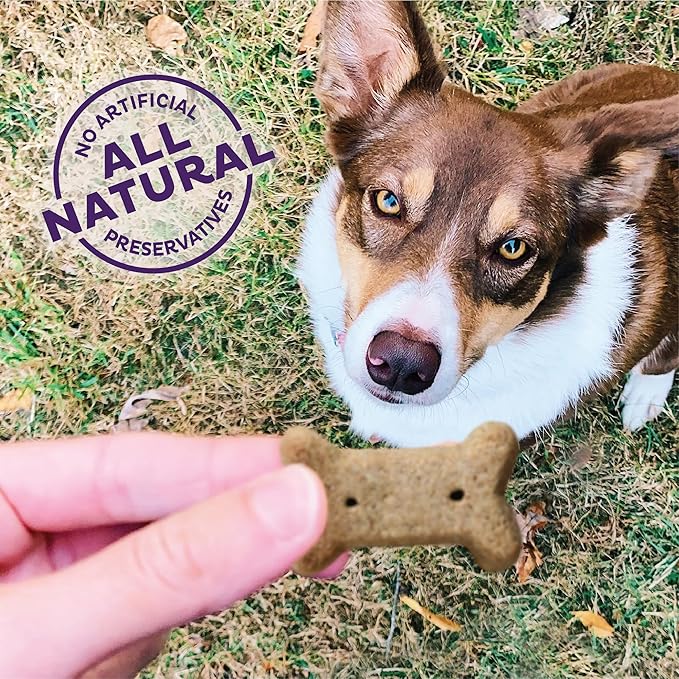 Old Mother Hubbard by Wellness Classic Original Mix Natural Dog Treats, Crunchy Oven-Baked Biscuits, Ideal for Training, Small Size, 3.8 pound bag - PAWPICO