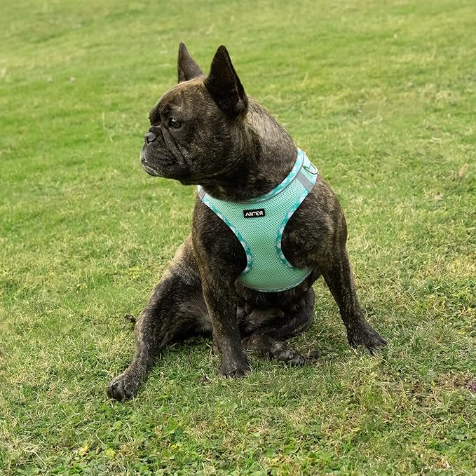 AMTOR Small Dog Harness with Leash Set, No Escape Easy Walk Puppy Harnesses for Training Walking, Step-in Reflective Soft Dogs Vest for XS S Medium Extra-Small Large Sized Dog(Green,XXS) AMTOR