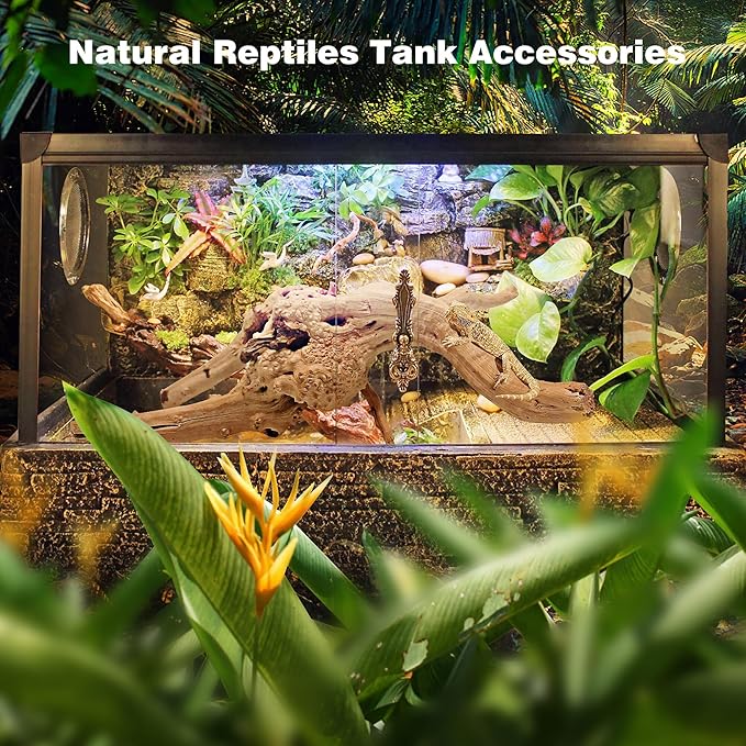 WDEFUN Natural Spiderwood for Aquarium Decor 1-Piece 13''-16'' Long Natural Driftwood Branches for Fish Tank Decorations WDEFUN