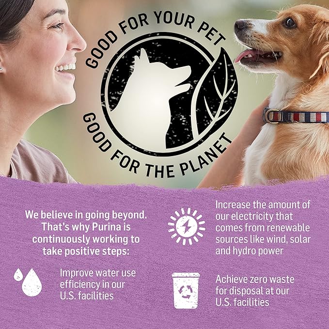 Beyond Purina Grain Free Gravy Wet Dog Food, Grain Free Turkey & Green Bean Recipe in Gravy - (12) 12.5 oz. Cans (Pack of 2) - PAWPICO