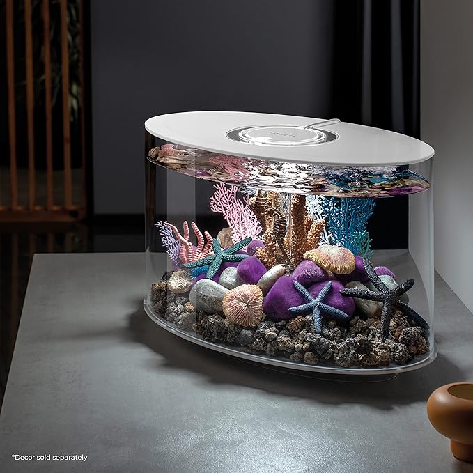 biOrb Loop 15 Acrylic 4-Gallon Aquarium with White LED Lights Modern Compact Tank for Tabletop or Desktop Display, White-Trimmed Tank biOrb