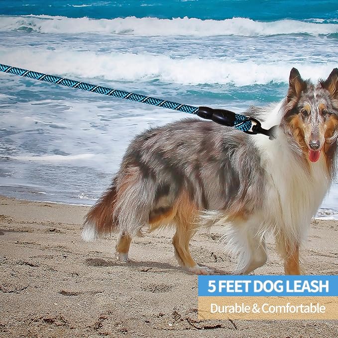 BAAPET 2/4/5/6 FT Dog Leash with Comfortable Padded Handle and Highly Reflective Threads for Small Medium and Large Dogs (5FT-1/2'', Black Blue) - PAWPICO