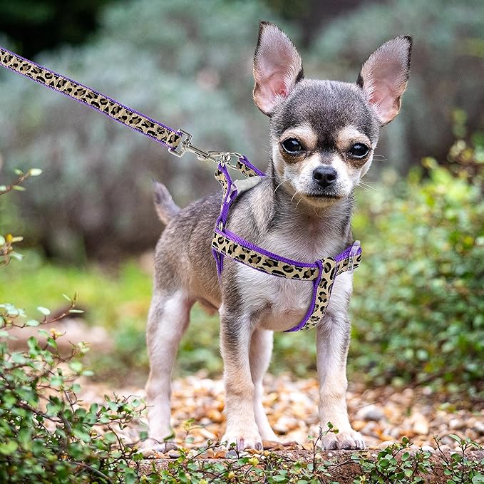 Mile High Life Leopard Dog Harness Collar Leash Set | Adjustable No Pull Dog Halter Harness for Small Breed Dogs | Easy Control for Training Walking | Purple, X-Small MileHighLife