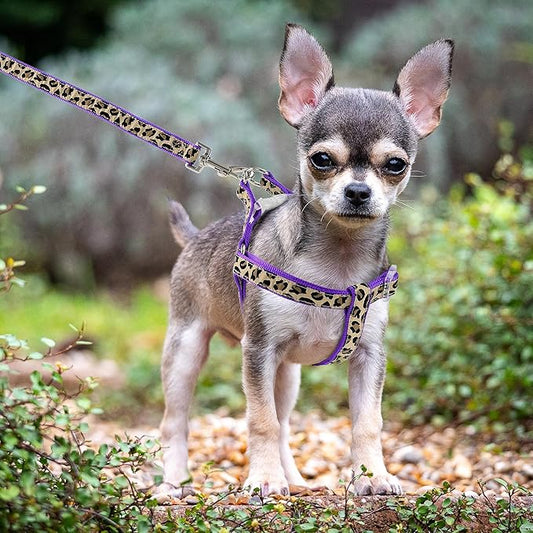 Mile High Life Leopard Dog Harness Collar Leash Set | Adjustable No Pull Dog Halter Harness for Small Breed Dogs | Easy Control for Training Walking | Purple, X-Small MileHighLife