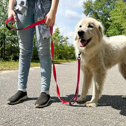 Joytale Dog Leash Heavy Duty for Large Dogs That Pull, Double Handle for Traffic Control, Double-Sided Reflective Leashes for Large Medium Dogs Night Safety, 6FT, Red Joytale