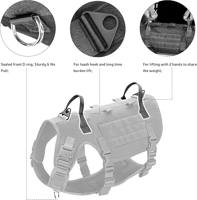 Forestpaw Tactical Dog Harness for Large Dogs,Tactical Dog Collar with Bungee Leash Set,No Pull Military Dog Harness for Dog Walking Training,Adjustable for Medium Large Dogs,Black L Forestpaw