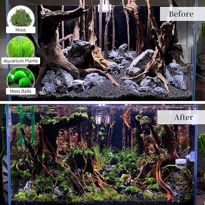 majoywoo Natural Large Driftwood for Aquarium Decor Reptile Decor, Fewer Branches 12.5-18" 2Pcs Majoywoo