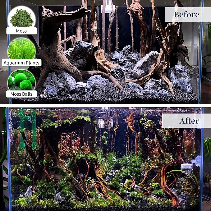 majoywoo Natural Coral Driftwood for Aquarium Decor Fish Tank Decorations, Assorted Driftwood Branch 6-10" 3 Pcs, Reptile Decor… Majoywoo