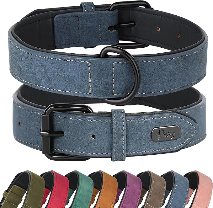 Didog Soft Padded Leather Dog Collar, Breathable Heavy Duty Dog Collar Leather with Adjustable Rust-Proof Metal Buckle for Small Medium Large Dogs, Blue, XL Didog