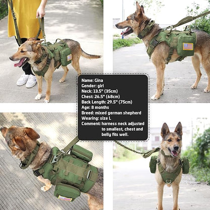 Forestpaw Tactical Dog Harness for Large Dogs,Tactical Dog Collar with Bungee Leash Set,No Pull Military Dog Harness for Dog Walking Training,Adjustable for Medium Large Dogs,Green L Forestpaw