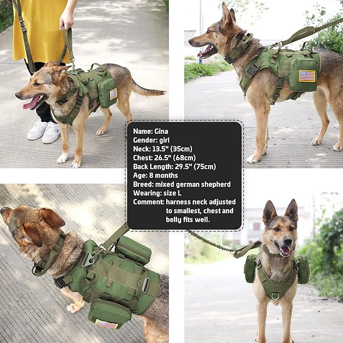 Forestpaw Tactical Dog Harness for Large Dogs,Tactical Dog Collar with Bungee Leash Set,No Pull Military Dog Harness for Dog Walking Training,Adjustable for Medium Large Dogs,Green M Forestpaw