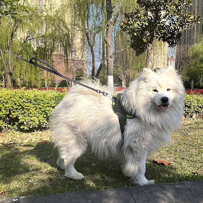 Joytale Dog Leash Heavy Duty for Large Dogs That Pull, Double Handle for Traffic Control, Double-Sided Reflective Leashes for Large Medium Dogs Night Safety, 5FT, Black Joytale