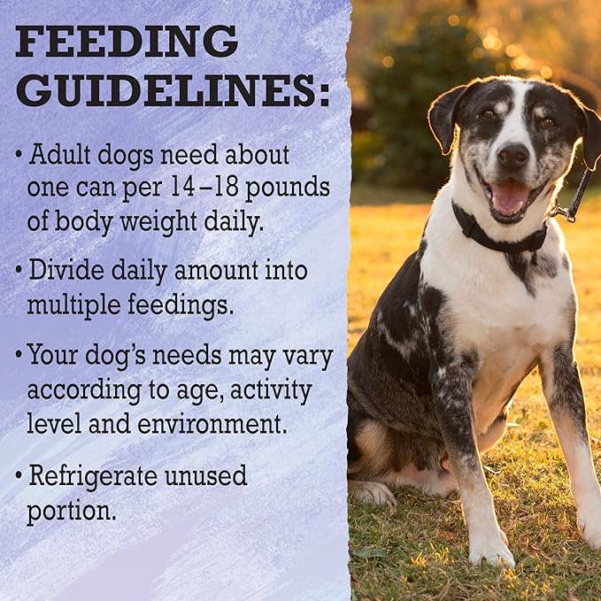 Purina Beyond High Protein, Grain Free, Natural Pate Wet Dog Food, WILD Turkey, Liver & Duck Recipe - (12) 13 oz. Cans - PAWPICO