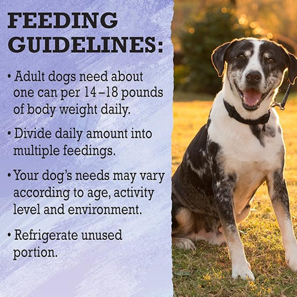 Purina Beyond High Protein, Grain Free, Natural Pate Wet Dog Food, WILD Turkey, Liver & Duck Recipe - (12) 13 oz. Cans - PAWPICO