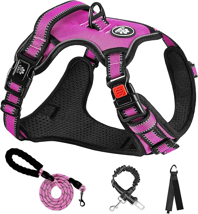 NESTROAD No Pull Dog Harness,Adjustable Oxford Dog Vest Harness with Leash,Reflective No-Choke Pet Harness with Easy Control Soft Handle for Large Dogs(Large,Fuchsia Pink) NESTROAD