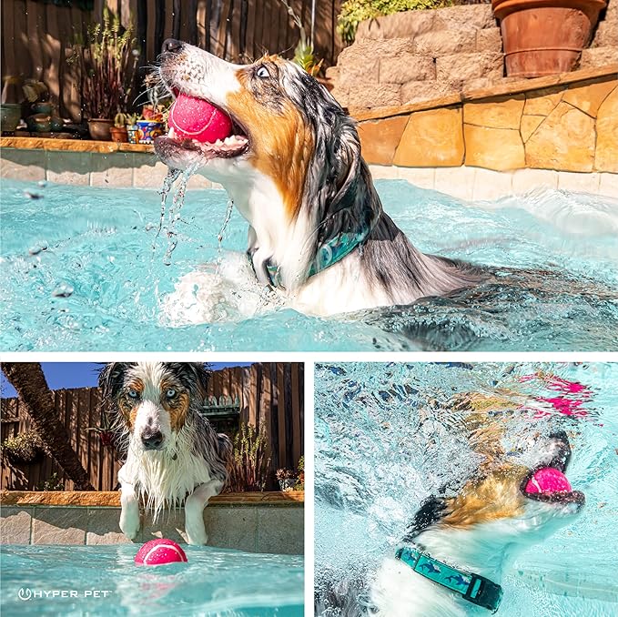 Hyper Pet Tennis Balls for Dogs (Pet Safe Dog Tennis Ball for Exercise and Training, Interactive Toys work with Hyper Pet K9 Kannon K2 Launcher - 4 Pack 2.5" Pink - PAWPICO