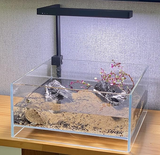 LANDEN Glass Air Aquarium Tank Multi-Scene Landscape Aquarium, 1.6Gallon Rimless Low Iron Shallow Tank,10.63" W×10.63" D×4.72" H (27cmx27cmx12cm) 5mm Thickness Landen