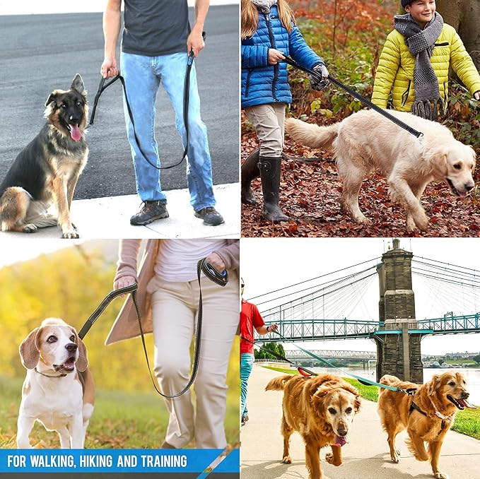 Heavy Duty Dog Leash - 2 Handles by Padded Traffic Handle for Extra Control, 6foot Long - Perfect for Medium to Large Dogs (Dark Red, 6 ft) JEWOSTER