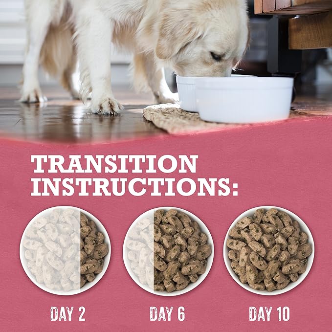 Purina Beyond Grain Free, Natural Gravy Wet Dog Food, Grain Free Beef & Spinach Recipe - (12) 12.5 oz. Cans - PAWPICO