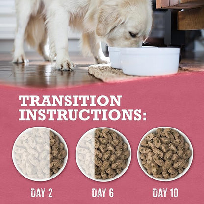 Purina Beyond Grain Free, Natural Gravy Wet Dog Food, Grain Free Beef & Spinach Recipe - (12) 12.5 oz. Cans - PAWPICO