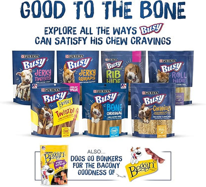 Purina Busy Bone Made in USA Facilities, Long Lasting Small/Medium Breed Adult Dog Chews, Peanut Butter Flavor - 6 Count (Pack of 1) - PAWPICO