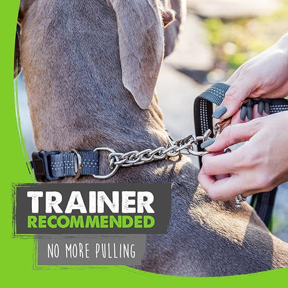 Mighty Paw Martingale Dog Collar 2.0 | Trainer Approved Limited Slip Collar with Stainless Steel Chain & Heavy Duty Buckle - Modified Cinch Collar for Gentle & Effective Pet Training - Small, Grey MightyPaw