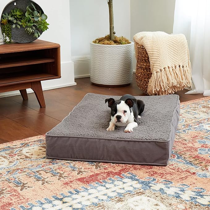 Happy Hounds Oscar Rectangle Orthopedic Foam Sherpa Dog Bed, Small (36 x 24 in.), Pewter - PAWPICO