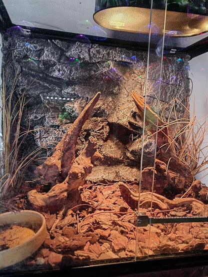 Fake Desert Dry Grass, Reptile Plants for Terrarium, Bearded Dragon Tank Accessories Habitat Decor fit Crested Gecko Leopard Lizard Chameleon Ball Python Snake WOLEDOE