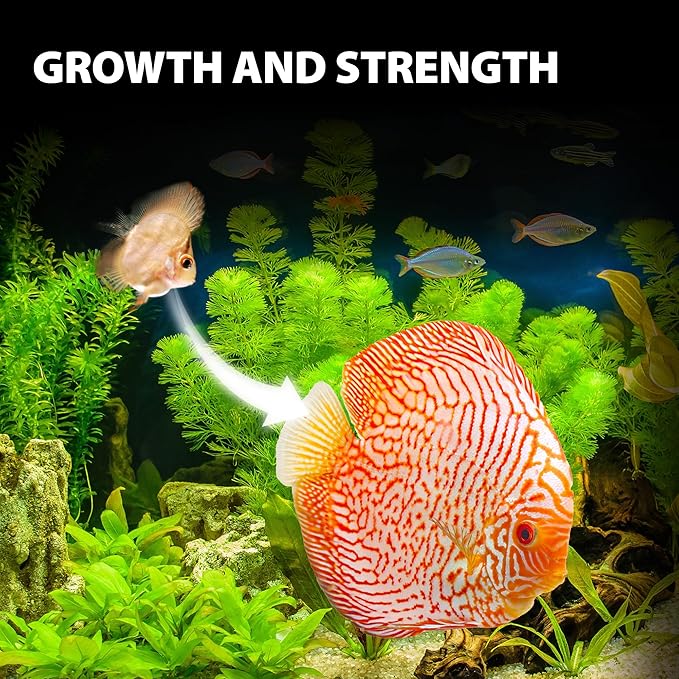 Purify Series for Discus Fish Food, Tropical Sinking Pellets, Suitable for Angelfish, Cichlids and Fish, All Natural Ingredients, 2.65 oz (Pack of 1) GOODPARTNERFishFoodPurifySeries