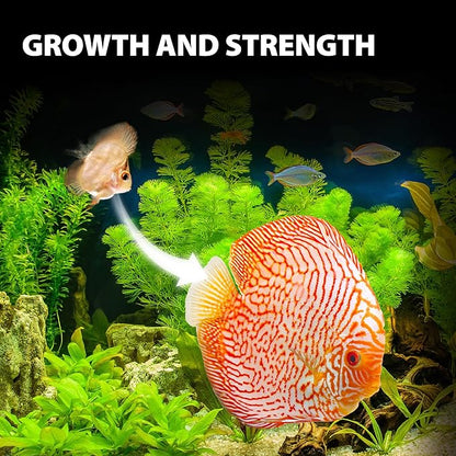 Purify Series for Discus Fish Food, Tropical Sinking Pellets, Suitable for Angelfish, Cichlids and Fish, All Natural Ingredients, 2.65 oz (Pack of 2) GOODPARTNERFishFoodPurifySeries