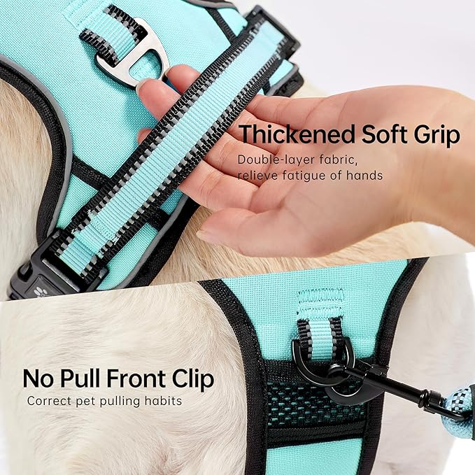 NESTROAD No Pull Dog Harness,Adjustable Oxford Dog Vest Harness with Leash,Reflective No-Choke Pet Harness with Easy Control Soft Handle for Large Dogs(Large,Turquoise) NESTROAD