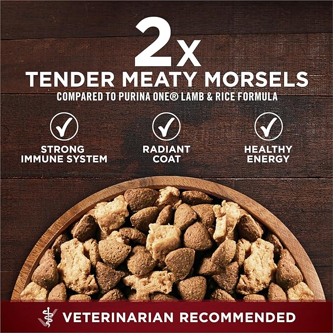 Purina ONE Natural High Protein Dry Dog Food Dry True Instinct with Real Beef and Salmon With Bone Broth and Added Vitamins, Minerals and Nutrients - (Pack of 4) 3.8 lb. Bags - PAWPICO