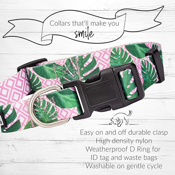 Lucky Love Dog, Tropical Matching Dog Collar & Leash Set, Soft & Comfy, Vivid Pink Color Collar and Leash for Female Male Dogs - (Small, Laguna Combo) LuckyLoveDog