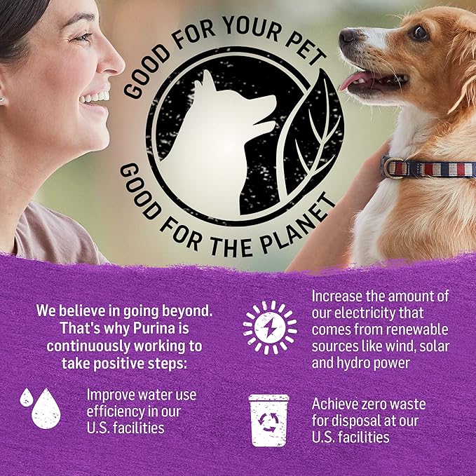 Purina Beyond Gravy, Beef, Chicken or Turkey in Gravy Ground Entree Grain Free Wet Dog Food Variety Pack - (Pack of 6) 12.5 oz. Cans - PAWPICO