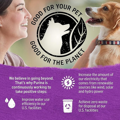 Purina Beyond Gravy, Beef, Chicken or Turkey in Gravy Ground Entree Grain Free Wet Dog Food Variety Pack - (Pack of 6) 12.5 oz. Cans - PAWPICO