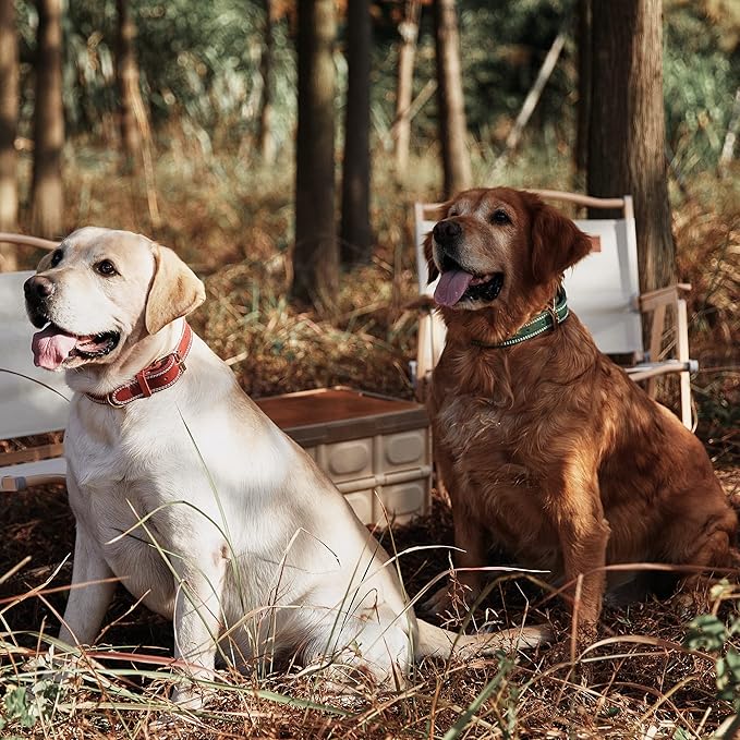 Dog Collar, Genuine Leather Dog Collar, Heavy Duty Dog Collar, Wide Dog Collar for Small Dog, Medium Dog, Large Dog and Extra Large Dog (S: 0.8" Wide for 13.4"-15.8" Neck, Dual Stitch - Red) DAIHAQIKO